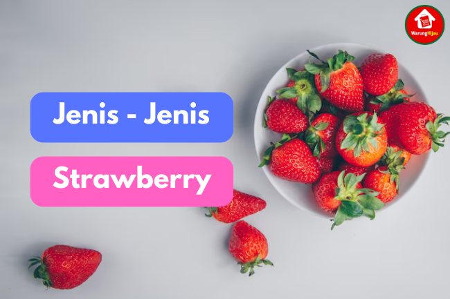 Mengenal Keberagaman Jenis Strawberry di Indonesia