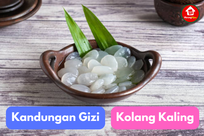 Kandungan Gizi dalam Kolang Kaling