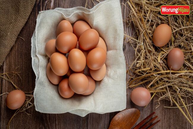 Kamu Harus Tahu 5 Jenis Telur Ayam !