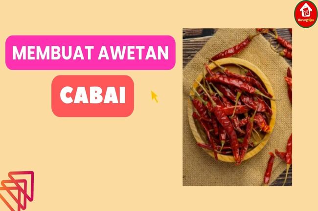 Ini Dia 4 Metode Membuat Awetan Cabai Skala Industri