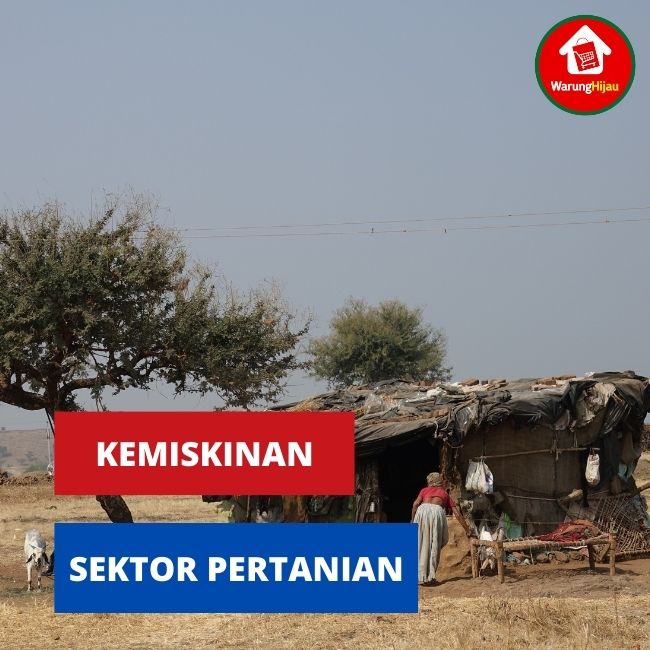 Kemiskinan dan Sektor Pertanian