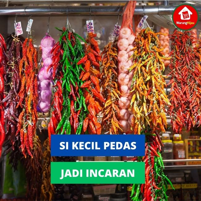 Si Kecil Pedas Jadi Incaran