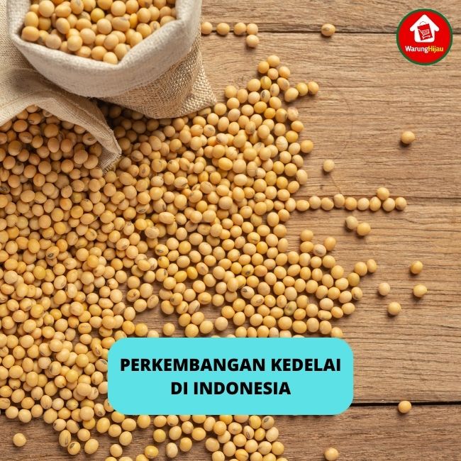 Perkembangan Kedelai di Indonesia