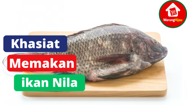 5 Khasiat Memakan Ikan Nila