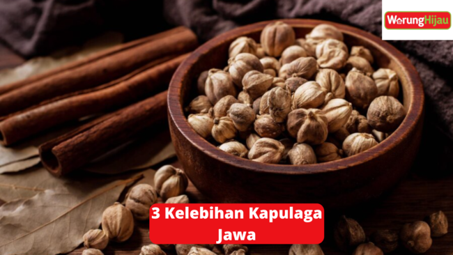 3 Kelebihan Kapulaga Jawa