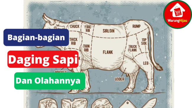 11 Bagian Daging Sapi dan Olahannya