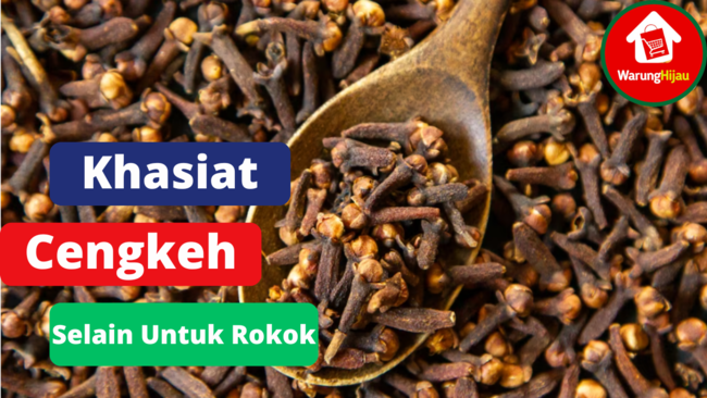 7 Khasiat Cengkeh Selain Untuk Rokok