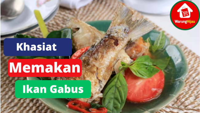 7 Khasiat Dari Memakan Ikan Gabus