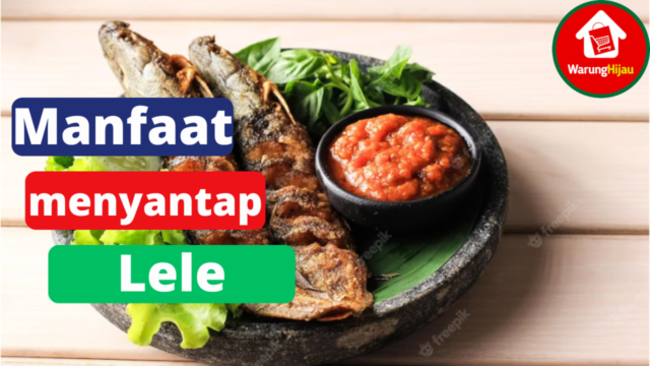 5 Manfaat Menyantap Ikan Lele