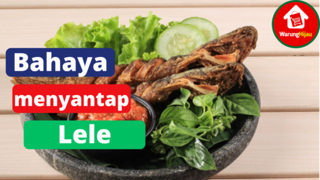 5 Bahaya Apabila Sering Makan Ikan Lele