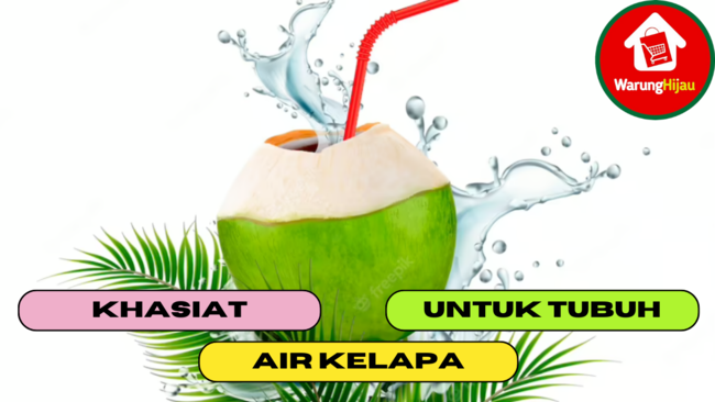 5 Khasiat Air Kelapa Untuk Tubuh