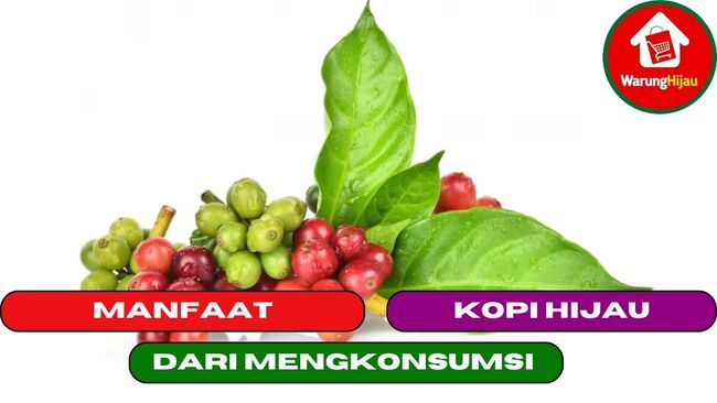 10 Manfaat yang Perlu di Ketahui Mengkonsumsi Kopi Hijau