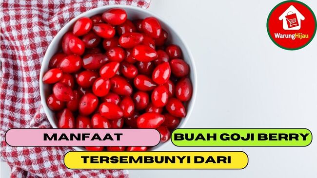 8 Manfaat Tersembunyi dari Buah Goji Berry Untuk Tubuh