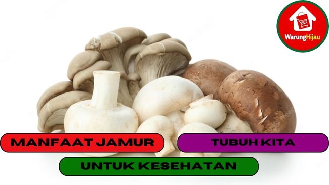 10 Manfaat Jamur Untuk Kesehatan Tubuh Kita