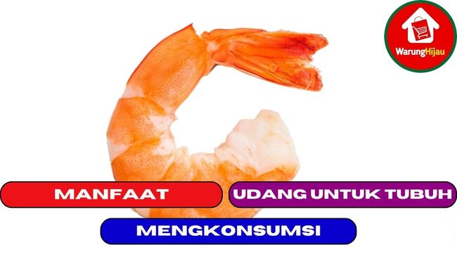 11 Manfaat Mengkonsumsi Udang Bagi Tubuh