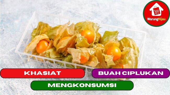 11 Khasiat Dari Mengkonsumsi Buah Ciplukan