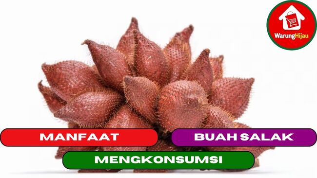 12 Manfaat Mengkonsumsi Buah Salak Untuk Kesehatan Tubuh