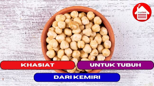 5 Manfaat Mengkonsumsi Kemiri Untuk Tubuh