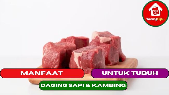 2 Manfaat Daging Sapi dan Daging Kambing Untuk Tubuh