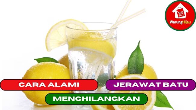 5 Cara Alami Menghilangkan Jerawat Batu dari Tubuh