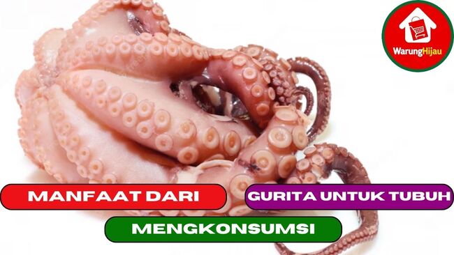 7 Khasiat Dari Mengkonsumsi Gurita