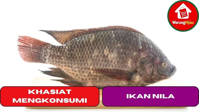 6 Khasiat Tersembunyi dari Mengkonsumsi Ikan Nila