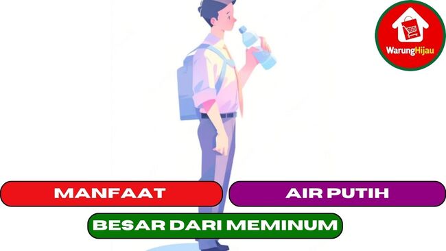 8 Manfaat Besar dari Sekedar Meminum Air Putih