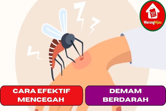 5 Cara Efektif Dalam Mencegah Demam Berdarah