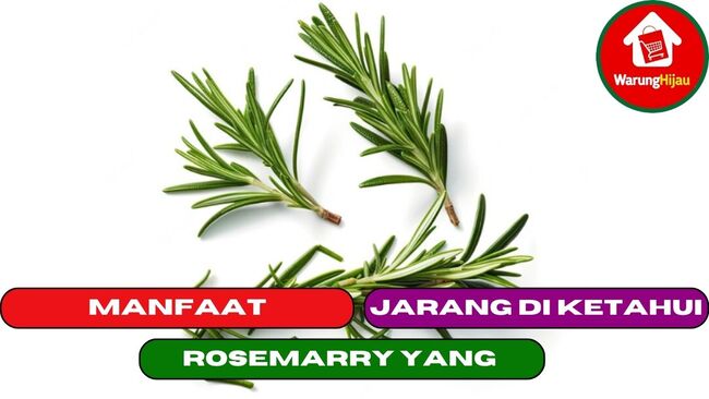 10 Manfaat Rosemarry yang Jarang di Ketahui