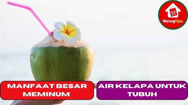 4 Manfaat Besar Meminum Air Kelapa Untuk Tubuh