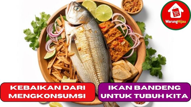 10 Kebaikan dari Mengkonsumsi Ikan Bandeng Untuk Tubuh Kita