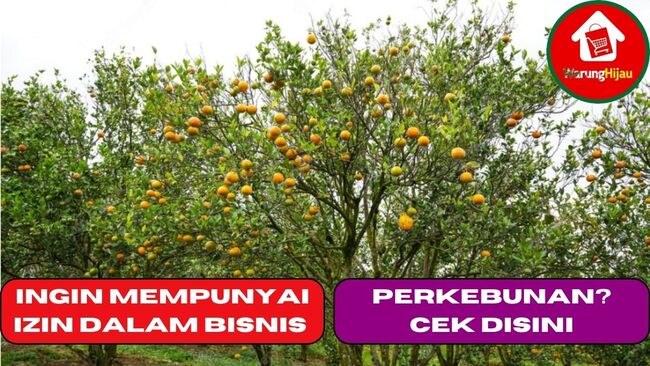 Ingin Mempunyai Izin Dalam Bisnis Perkebunan? Cek Disini