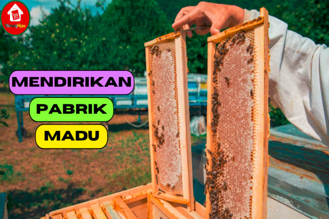 5 Strategi jika Ingin Mendirikan Pabrik Madu