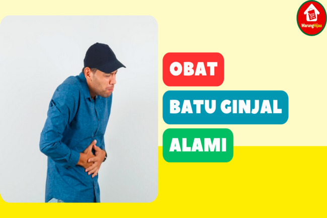 8 Obat Batu Ginjal Tanpa Operasi dari Bahan Herbal Alami