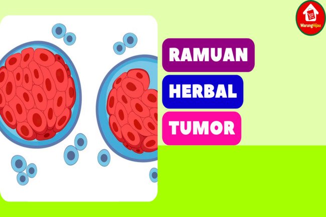 Berikut 9 Ramuan Herbal yang Ampuh untuk Sembuhkan Tumor