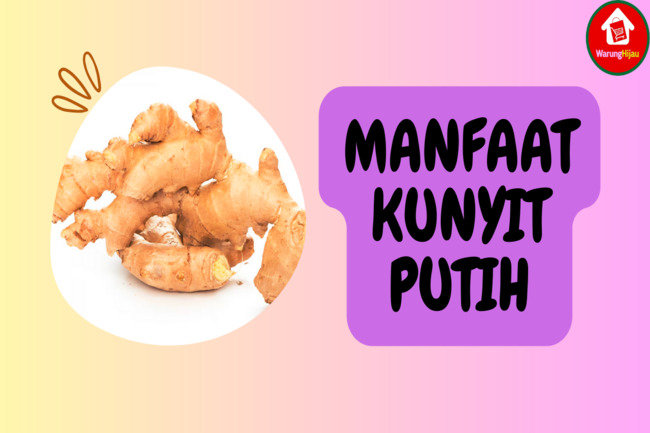 7 Manfaat Kunyit Putih untuk Kesehatan: Ampuh Tangkal Kanker