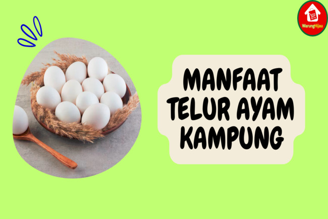 7 Manfaat Telur Ayam Kampung yang Tidak Ada pada Telur Biasa