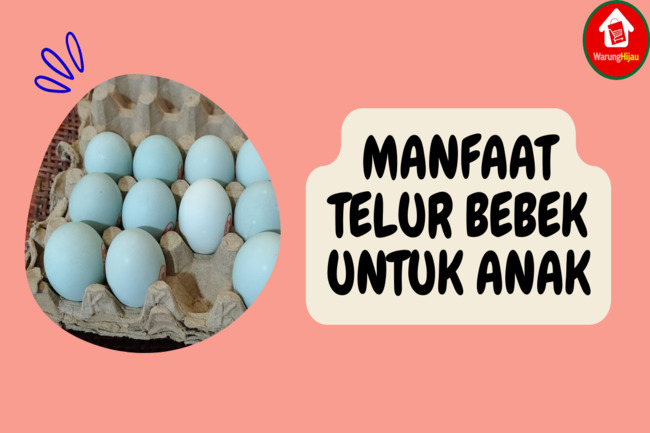 8 Manfaat Telur Bebek untuk Anak: Kaya Akan Nutrisi