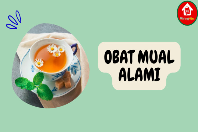 8 Alternatif Obat Mual Alami yang Ampuh untuk Dicoba