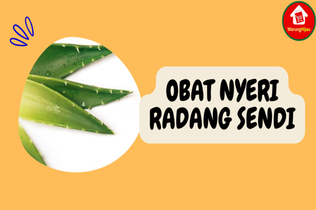 9 Obat Tradisional untuk Radang Sendi, Ampuh Redakan Nyeri