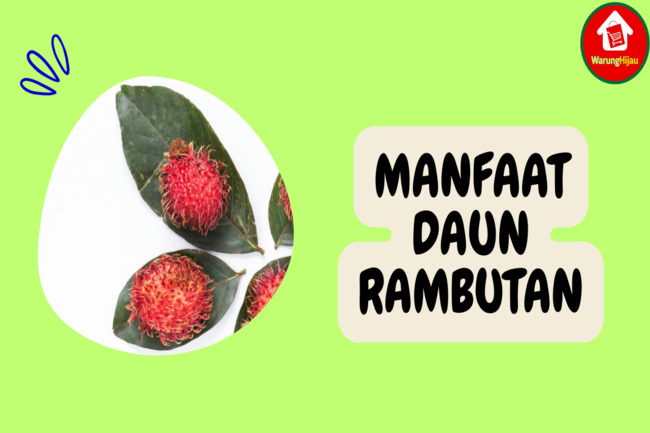 8 Manfaat Daun Rambutan bagi Kesehatan: Bisa Atasi Diare