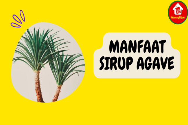 6 Manfaat Sirup Agave: Benarkah Lebih Sehat dari Gula?