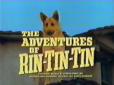 [Gambar: rin_tin_tin.jpg]