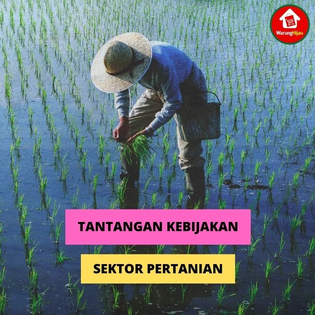 warunghijau.com - Tantangan Dalam Perkembangan Pertanian Indonesia