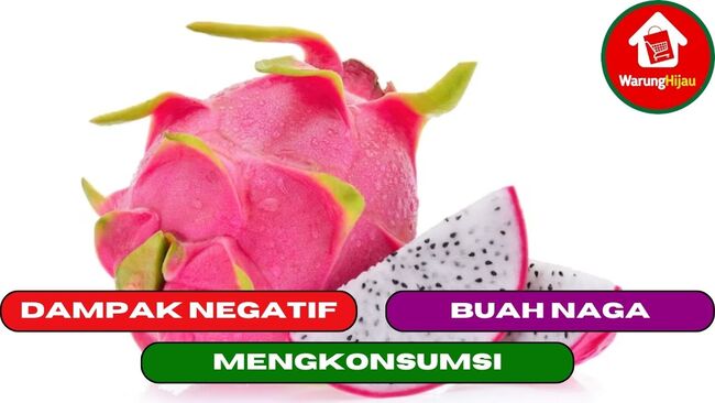 2 Dampak Negatif Dari Mengkonsumsi Buah Naga Sehari Hari 0072