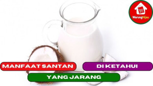 5 Manfaat Santan yang Jarang di Ketahui Orang