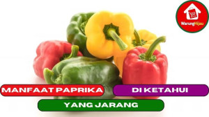 7 Manfaat Paprika yang Jarang di Ketahui Orang