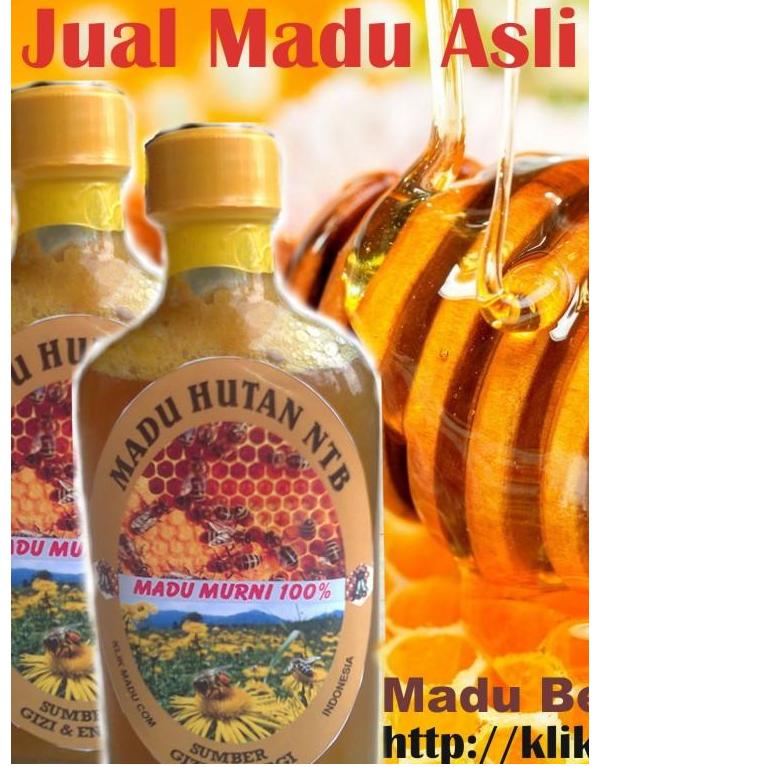 [Gambar: Jual-Madu-Hutan-Asli.jpg]